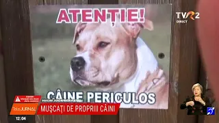 Atacați de propriii câini.