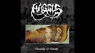 Haggus - Plausibility Of Putridity LP (2018) Full Album HQ (Goregrind/Mincecore)