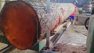 ammazing penggergajian kayu mahoni lingkar 200 rajang balok size 6x12. Indonesian Mahogany sawing