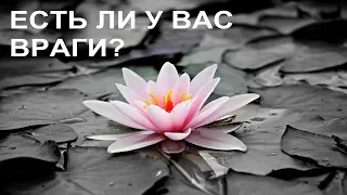 Есть ли у вас враги? Онлайн гадание на Таро