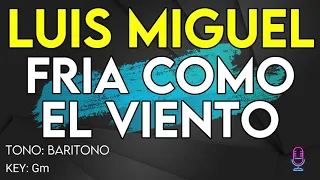 Luis Miguel - Fría Como El Viento - Karaoke Instrumental - Barítono