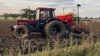 Case International 1056XL and Ford TW15 Classic Tractors Drilling and cultivating pure sound !