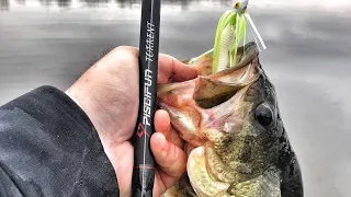 Bass Jig Fishing Tips 2019  | Spring Swim Jig for Bass