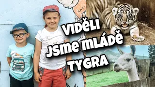 VIDĚLI JSME MLÁDĚ TYGRA! 🐯| FAUNAPARK | LESNÍ BAR | #2