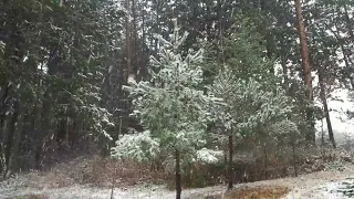 2024年2月 降り続ける雪