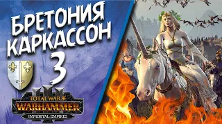 Total War: Warhammer 3 - (Легенда) - Каркассон #3 Vive la Reine