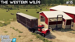 Buying Dairy Cows | FS22 | The Western Wilds | Episode 16 | Timelapse