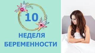 10 Неделя Беременности. Развитие плода и ощущения мамы