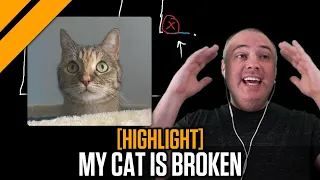 Day[9] Story Time - My Cat is Broken...Here's Why