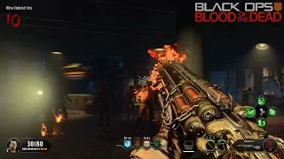 How to Get The Magmagat And Acidgat In Blood Of The Dead | Black Ops 4 Zombies Guides