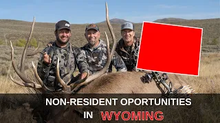 Wyoming Non-Resident Opportunities | Mastering the Draw