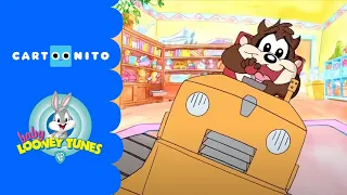 Baby Looney Tunes | Cheeky Taz | Cartoonito UK