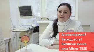 Азооспермия и мужское бесплодие. Диагноз, лечение, операция MICRO-TESE