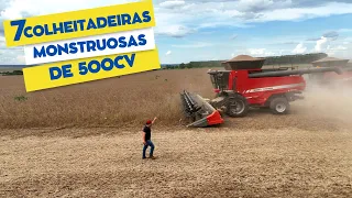 Juntamos 7 colheitadeiras Monstruosas de 500cv da Massey para colher soja