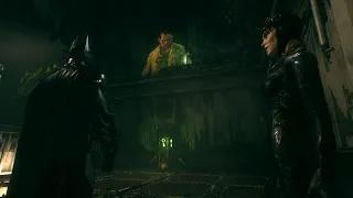 Batman Explains All Of Riddler's Mental Illnesses To Catwoman