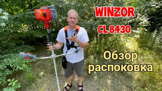 Мотокоса Winzor CL 8430 копия Oleo-Mac Sparta 381T или 741( Самая низкая цена в Украине)