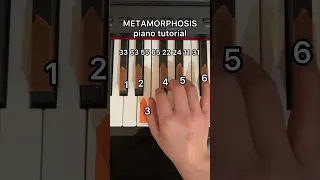 Metamorphosis easy piano tutorial  #pianotutorial  #sigma  #sigmastatus #sigmarule #shorts #fyp