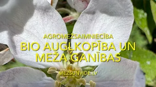 Bio augļkopība un meža ganības . AGROMEŽSAIMNIECĪBA  Zviedrijā 2 daļa