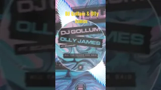 DJ Gollum & Olly James ft . Scarlett - All the things she said #technomusic #tiktokremix