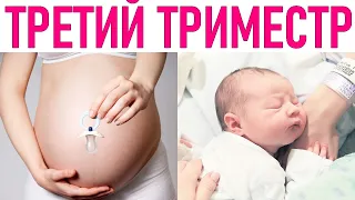 ТРЕТИЙ ТРИМЕСТР | Что можно и нельзя делать в 3 триместре беременности