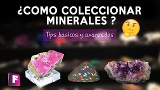 Como Coleccionar Minerales ?   - Tips basicos y avanzados ✔️ - Foro de minerales