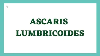 Ascaris lumbricoides microbiology | Ascaris lumbricoides Lifecycle | Ascariasis | Round Worm