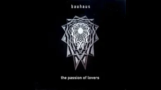 BAUHAUS The Passion Of Lovers (with a message from Daniel)