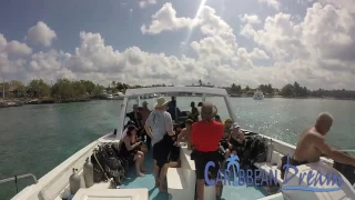 Scuba Dive Saona Island & Snorkeling