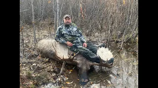 2021 Alaskan Moose Hunt (BIG BULL)