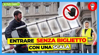 Entrare Ovunque Senza Biglietto con una Scala - [Si Può Fare?] - theShow