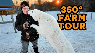 Chores in Snow? Farm Life in Winter (360 VR Farm Tour)