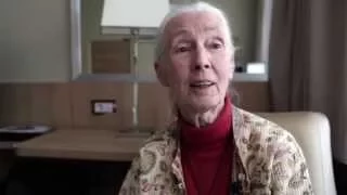 World Environment Day 2015 - Message from Dr Jane Goodall