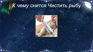 К чему снится Чистить рыбу (Сонник)