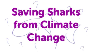 Minute Lectures: Saving Sharks from Climate Change.