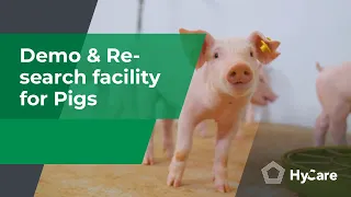 HyCare | Demo & Research facility for Pigs