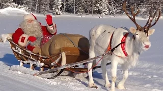 Babbo Natale & super-licheni di renne di Santa Claus 🦌🎅 Lapponia Finlandia: Rovaniemi per i bambini