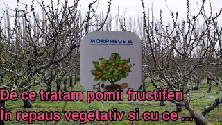 Tratament de toamna la pomi fructiferi și arbuști. Imbaierea pomilor cu morpheus