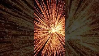 Sony Fireworks Hot Girls #shorts #sonnyfireworks #sonyfireworks #firework #diwali
