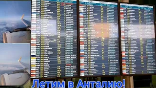 Летим в ТУРЦИЮ🇹🇷 с Pegasus Airlines 🛫 в феврале! Аэропорт Домодедово. Бизнес зал.
