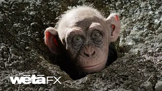 Creating Bad Ape | War for the Planet of the Apes VFX Breakdown | Wētā FX