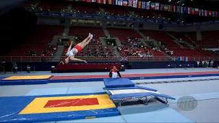 SCHMIDT Daniel (GER) - 2017 Trampoline Worlds, Sofia (BUL) - Qualification Double Mini Routine 2