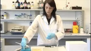 Genética: técnica PCR