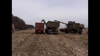 Уборка кукуруздзы Claas Lexion 770 Claas Lexion 580 2021 Урожайность 180 ц/га площа 27га