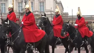 Salvas de cañón por el 74 cumpleaños del rey Carlos III