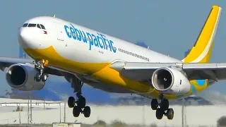 INCREDIBLE Cebu Pacific Airbus A330 CLOSE UP Takeoff & Landing | Melbourne Airport Plane Spotting