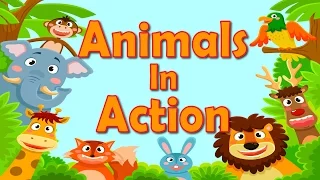 Animals In Action | Brain & Body Builders | Exercise & Fitness for Kids | Jack Hartmann