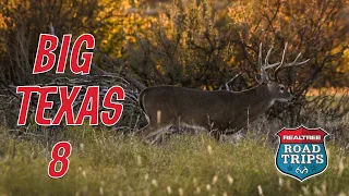 Tyler's Big 8 From The Ground | Realtree Road Trips