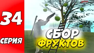 СБОР ФРУКТОВ  ПУТЬ К МИЛЛИАРДУ НА ARIZONA RP WINSLOW В GTA SAMP! #34