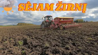 Skutam. Sėjam žirnį su Vaderstad rapid 300. #15