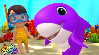 Baby Shark Song, Kids Nursery Rhyme And Cartoon By Boom Buddies